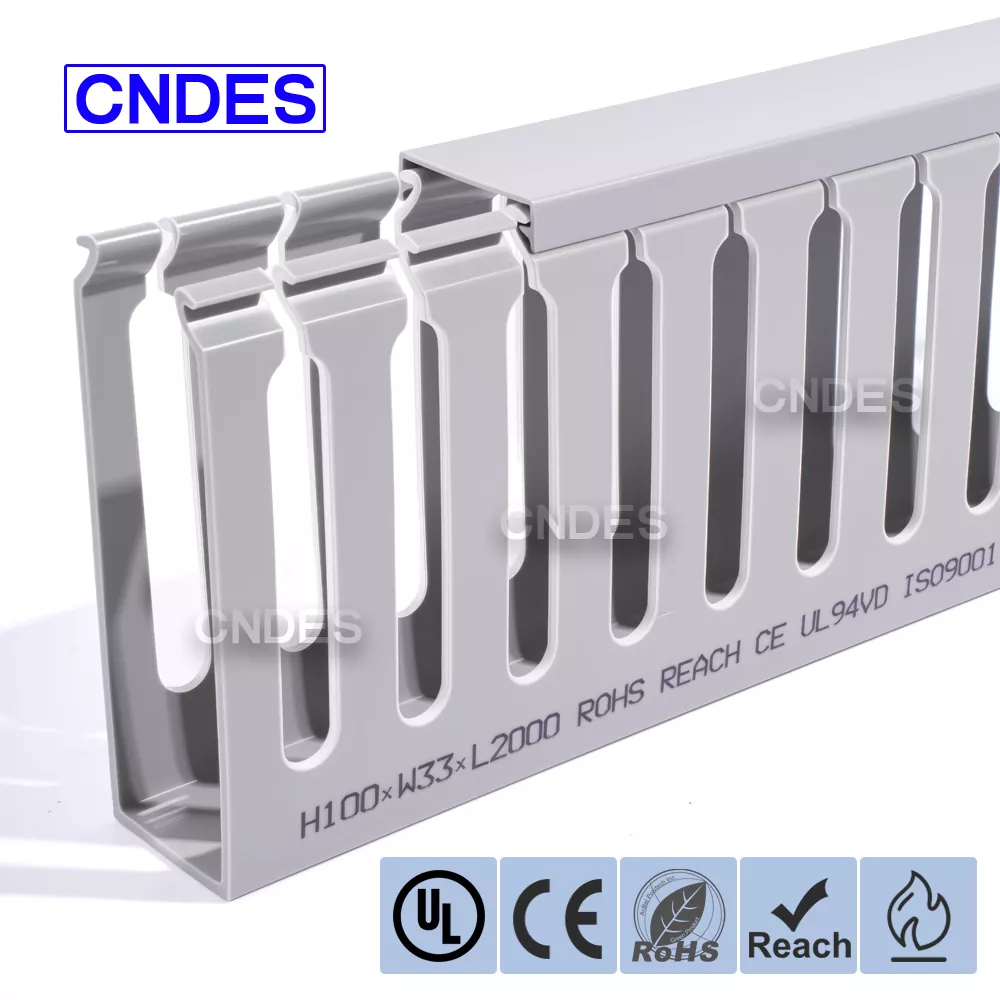 100×33 Управување со кабли на серверот